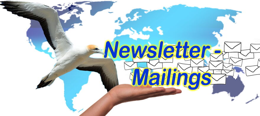 Ihr Internetmarketing - Beratung, Websites, Newsletter, Mailings - TGS Webservices - Online- und Digital Marketing-Agentur Ihr Internetmarketing - Beratung, Websites, Newsletter, Mailings - TGS Webservices - Online- und Digital Marketing-Agentur