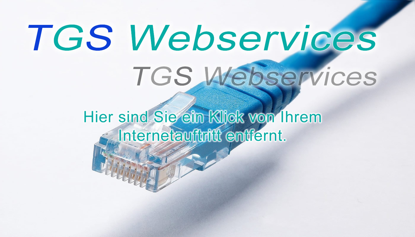 Online-Marketing und Entwicklung von Websites - TGS Webservices - Online- und Digital Marketing-Agentur